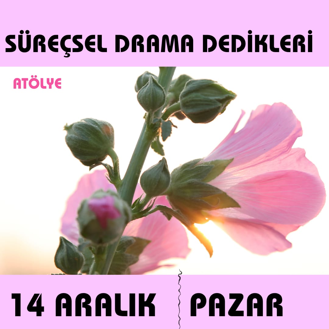 SÜREÇSEL DRAMA